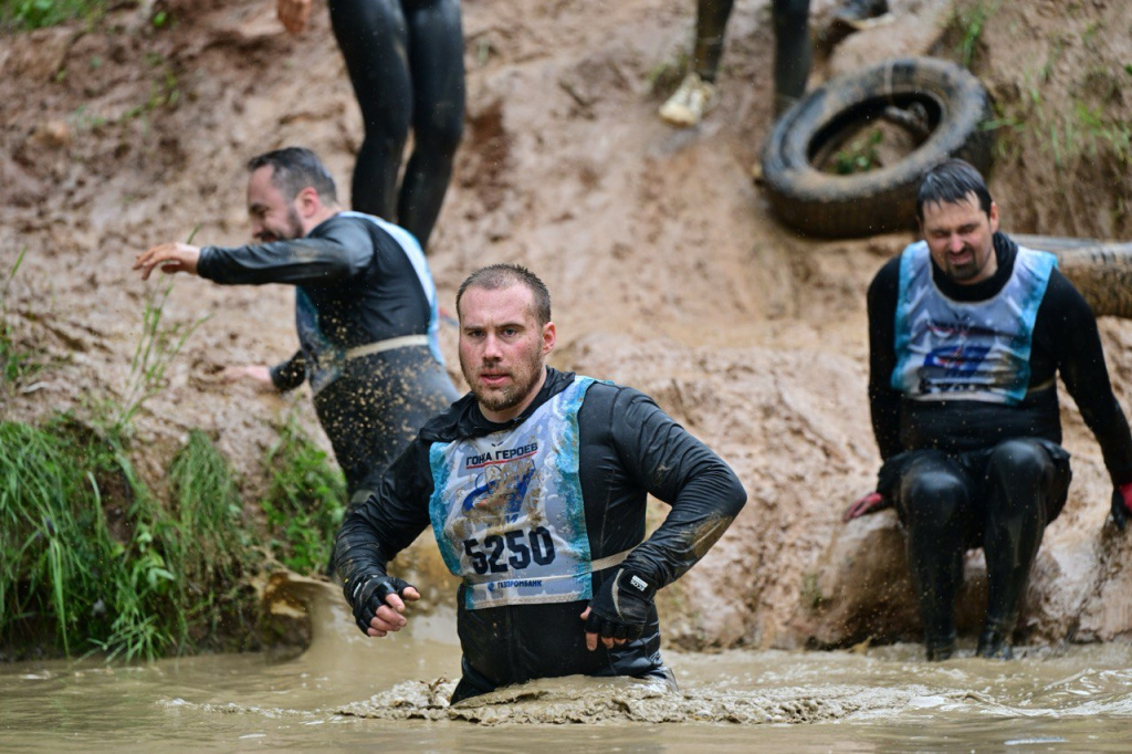 43.jpg 43.jpg